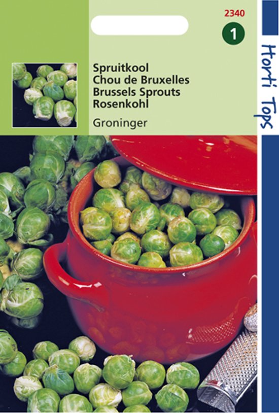 Spruitkool Groninger (Brassica oleracea) 500 zaden